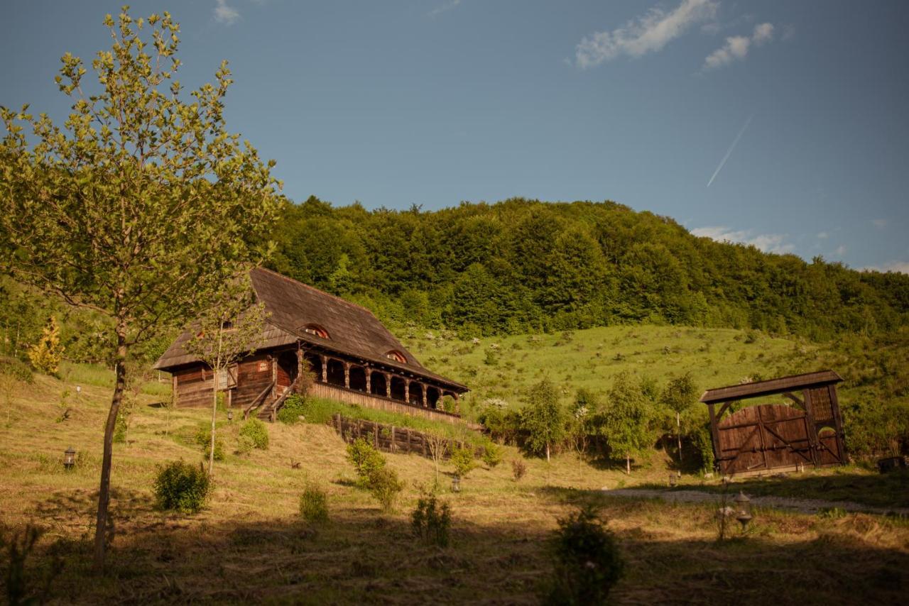 Raven'S Nest - The Hidden Village, Transylvania - Romania Sub Piatra Exterior photo