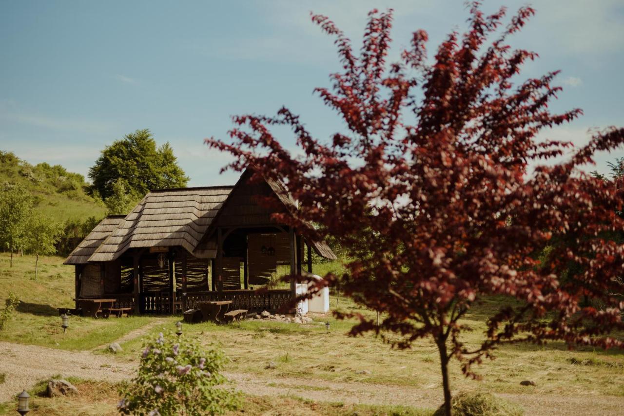 Raven'S Nest - The Hidden Village, Transylvania - Romania Sub Piatra Exterior photo