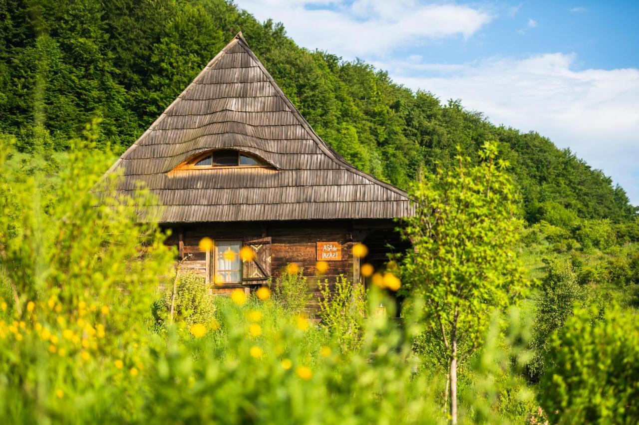 Raven'S Nest - The Hidden Village, Transylvania - Romania Sub Piatra Exterior photo