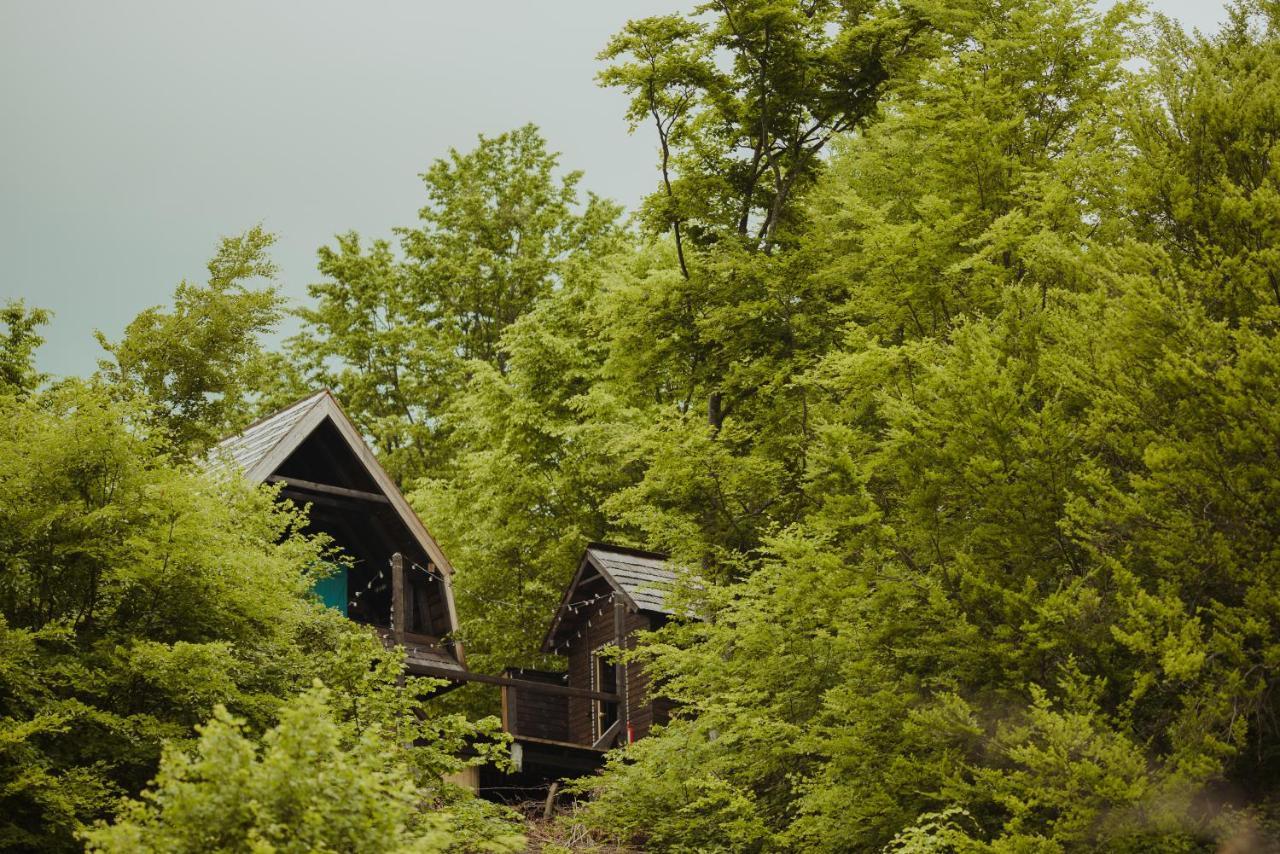 Raven'S Nest - The Hidden Village, Transylvania - Romania Sub Piatra Exterior photo